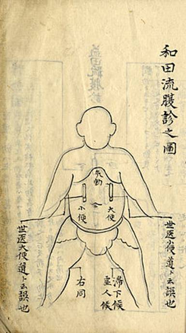 https://upload.wikimedia.org/wikipedia/commons/thumb/e/eb/Wada-style_palpation.jpg/245px-Wada-style_palpation.jpg
