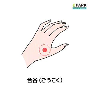 https://cdn.kusurinomadoguchi.com/wp-content/uploads/pressure-point-goukoku.png