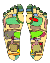 https://upload.wikimedia.org/wikipedia/commons/thumb/2/23/Foot_Chart1_small.png/200px-Foot_Chart1_small.png