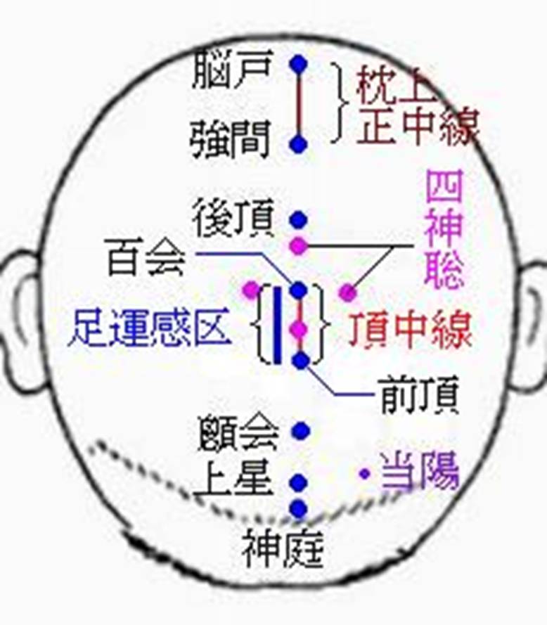 四神総