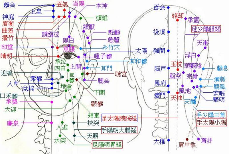 頭部の奇穴