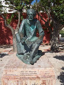 https://upload.wikimedia.org/wikipedia/commons/thumb/4/4f/Ibn_al-Baytar.JPG/220px-Ibn_al-Baytar.JPG