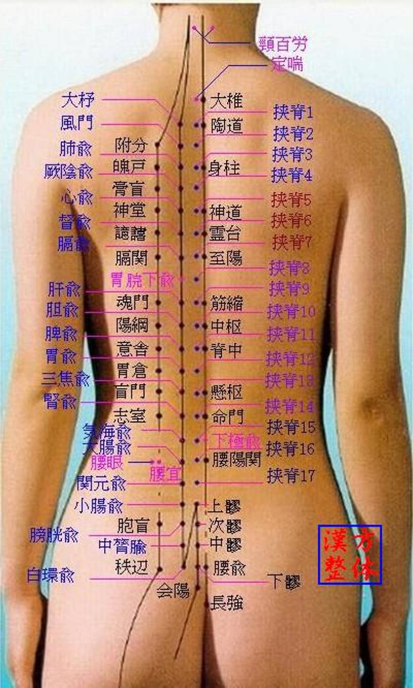 背部のツボ-1