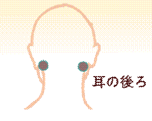 width=