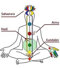 https://upload.wikimedia.org/wikipedia/commons/thumb/c/c7/DiagrammaChakraKundalini.jpg/250px-DiagrammaChakraKundalini.jpg