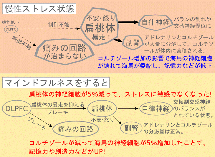 マインドフルネスの効果
