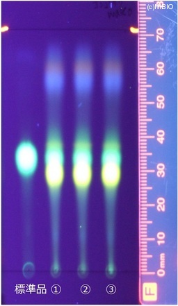 http://mpdb.nibiohn.go.jp/CONTENTS_ROOT/JP_IDENTIFICATION_PHOTO_DATA/JP_IDENTIFICATION_PHOTO_FILE/thumbnail/157.jpg