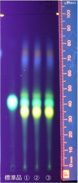 http://mpdb.nibiohn.go.jp/CONTENTS_ROOT/JP_IDENTIFICATION_PHOTO_DATA/JP_IDENTIFICATION_PHOTO_FILE/thumbnail/158.jpg