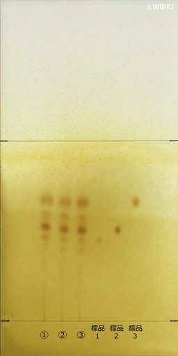 http://mpdb.nibiohn.go.jp/CONTENTS_ROOT/JP_IDENTIFICATION_PHOTO_DATA/JP_IDENTIFICATION_PHOTO_FILE/thumbnail/383.jpg