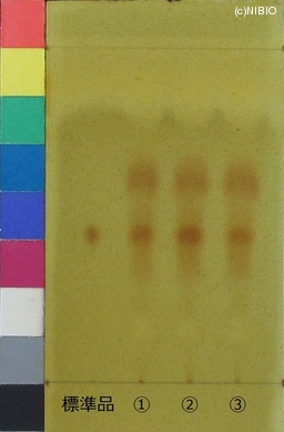 http://mpdb.nibiohn.go.jp/CONTENTS_ROOT/JP_IDENTIFICATION_PHOTO_DATA/JP_IDENTIFICATION_PHOTO_FILE/thumbnail/758.JPG