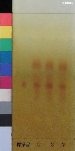 http://mpdb.nibiohn.go.jp/CONTENTS_ROOT/JP_IDENTIFICATION_PHOTO_DATA/JP_IDENTIFICATION_PHOTO_FILE/thumbnail/759.JPG