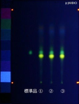 http://mpdb.nibiohn.go.jp/CONTENTS_ROOT/JP_IDENTIFICATION_PHOTO_DATA/JP_IDENTIFICATION_PHOTO_FILE/thumbnail/760.JPG