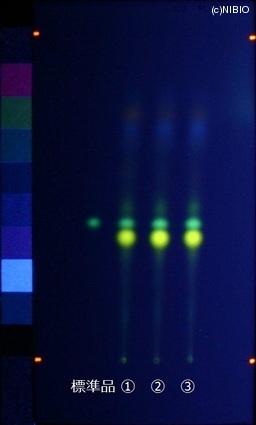 http://mpdb.nibiohn.go.jp/CONTENTS_ROOT/JP_IDENTIFICATION_PHOTO_DATA/JP_IDENTIFICATION_PHOTO_FILE/thumbnail/762.jpg