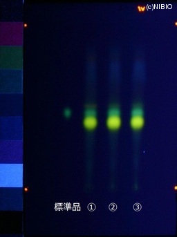 http://mpdb.nibiohn.go.jp/CONTENTS_ROOT/JP_IDENTIFICATION_PHOTO_DATA/JP_IDENTIFICATION_PHOTO_FILE/thumbnail/763.jpg