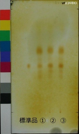 http://mpdb.nibiohn.go.jp/CONTENTS_ROOT/JP_IDENTIFICATION_PHOTO_DATA/JP_IDENTIFICATION_PHOTO_FILE/thumbnail/768.jpg