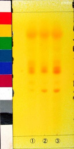 http://mpdb.nibiohn.go.jp/CONTENTS_ROOT/PLANT_PHOTO_DATA/PHOTO_FILE/thumbnail/925.jpg
