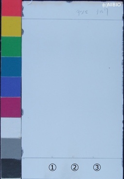 http://mpdb.nibiohn.go.jp/CONTENTS_ROOT/JP_IDENTIFICATION_PHOTO_DATA/JP_IDENTIFICATION_PHOTO_FILE/thumbnail/233.jpg