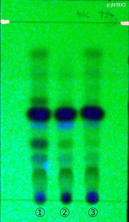 http://mpdb.nibiohn.go.jp/CONTENTS_ROOT/JP_IDENTIFICATION_PHOTO_DATA/JP_IDENTIFICATION_PHOTO_FILE/thumbnail/93.jpg