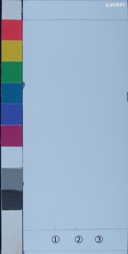 http://mpdb.nibiohn.go.jp/CONTENTS_ROOT/JP_IDENTIFICATION_PHOTO_DATA/JP_IDENTIFICATION_PHOTO_FILE/thumbnail/234.jpg