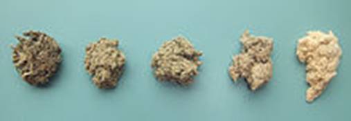 https://upload.wikimedia.org/wikipedia/commons/thumb/d/d1/Moxa-samples-from-Japan.jpg/220px-Moxa-samples-from-Japan.jpg