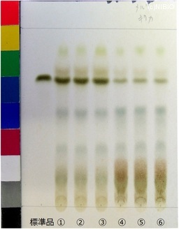 http://mpdb.nibiohn.go.jp/CONTENTS_ROOT/JP_IDENTIFICATION_PHOTO_DATA/JP_IDENTIFICATION_PHOTO_FILE/thumbnail/169.jpg