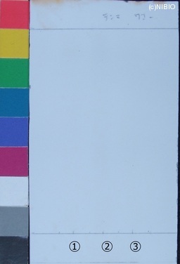 http://mpdb.nibiohn.go.jp/CONTENTS_ROOT/JP_IDENTIFICATION_PHOTO_DATA/JP_IDENTIFICATION_PHOTO_FILE/thumbnail/235.jpg