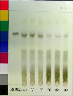 http://mpdb.nibiohn.go.jp/CONTENTS_ROOT/JP_IDENTIFICATION_PHOTO_DATA/JP_IDENTIFICATION_PHOTO_FILE/thumbnail/171.jpg