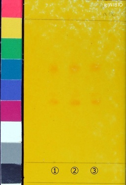 http://mpdb.nibiohn.go.jp/CONTENTS_ROOT/JP_IDENTIFICATION_PHOTO_DATA/JP_IDENTIFICATION_PHOTO_FILE/thumbnail/129.jpg
