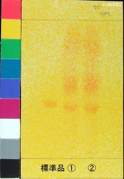 http://mpdb.nibiohn.go.jp/CONTENTS_ROOT/PLANT_PHOTO_DATA/PHOTO_FILE/thumbnail/930.jpg