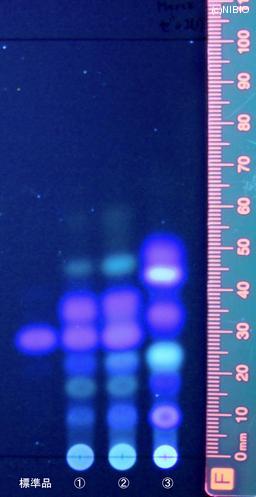 http://mpdb.nibiohn.go.jp/CONTENTS_ROOT/JP_IDENTIFICATION_PHOTO_DATA/JP_IDENTIFICATION_PHOTO_FILE/thumbnail/814.jpg
