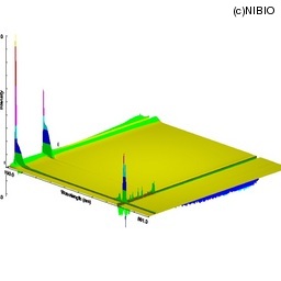 http://mpdb.nibiohn.go.jp/CONTENTS_ROOT/LCGC_DATA/THREE_D_IMAGE_FILE/thumbnail/1615.jpg