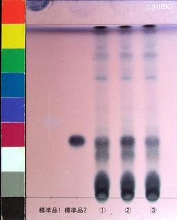 http://mpdb.nibiohn.go.jp/CONTENTS_ROOT/JP_IDENTIFICATION_PHOTO_DATA/JP_IDENTIFICATION_PHOTO_FILE/thumbnail/911.jpg