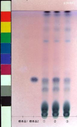 http://mpdb.nibiohn.go.jp/CONTENTS_ROOT/JP_IDENTIFICATION_PHOTO_DATA/JP_IDENTIFICATION_PHOTO_FILE/thumbnail/912.jpg