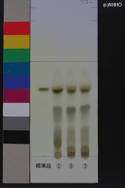 http://mpdb.nibiohn.go.jp/CONTENTS_ROOT/JP_IDENTIFICATION_PHOTO_DATA/JP_IDENTIFICATION_PHOTO_FILE/thumbnail/449.JPG