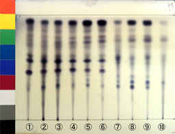 http://mpdb.nibiohn.go.jp/CONTENTS_ROOT/JP_IDENTIFICATION_PHOTO_DATA/JP_IDENTIFICATION_PHOTO_FILE/thumbnail/1289.jpg