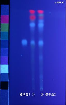 http://mpdb.nibiohn.go.jp/CONTENTS_ROOT/JP_IDENTIFICATION_PHOTO_DATA/JP_IDENTIFICATION_PHOTO_FILE/thumbnail/1184.jpg