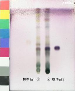 http://mpdb.nibiohn.go.jp/CONTENTS_ROOT/JP_IDENTIFICATION_PHOTO_DATA/JP_IDENTIFICATION_PHOTO_FILE/thumbnail/1185.jpg