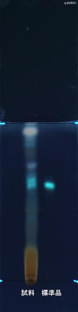 http://mpdb.nibiohn.go.jp/CONTENTS_ROOT/JP_IDENTIFICATION_PHOTO_DATA/JP_IDENTIFICATION_PHOTO_FILE/thumbnail/858.jpg