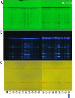 http://mpdb.nibiohn.go.jp/CONTENTS_ROOT/TLC_DATA/TLC_FIG_FILE/thumbnail/798.jpg