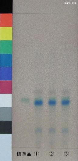 http://mpdb.nibiohn.go.jp/CONTENTS_ROOT/JP_IDENTIFICATION_PHOTO_DATA/JP_IDENTIFICATION_PHOTO_FILE/thumbnail/1004.JPG