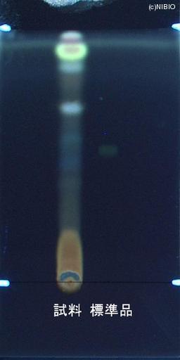 http://mpdb.nibiohn.go.jp/CONTENTS_ROOT/JP_IDENTIFICATION_PHOTO_DATA/JP_IDENTIFICATION_PHOTO_FILE/thumbnail/859.jpg