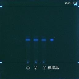 http://mpdb.nibiohn.go.jp/CONTENTS_ROOT/JP_IDENTIFICATION_PHOTO_DATA/JP_IDENTIFICATION_PHOTO_FILE/thumbnail/503.jpg