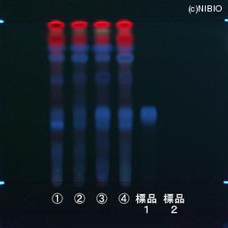 http://mpdb.nibiohn.go.jp/CONTENTS_ROOT/JP_IDENTIFICATION_PHOTO_DATA/JP_IDENTIFICATION_PHOTO_FILE/thumbnail/1189.jpg