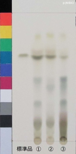 http://mpdb.nibiohn.go.jp/CONTENTS_ROOT/JP_IDENTIFICATION_PHOTO_DATA/JP_IDENTIFICATION_PHOTO_FILE/thumbnail/460.jpg