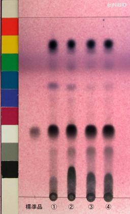 http://mpdb.nibiohn.go.jp/CONTENTS_ROOT/JP_IDENTIFICATION_PHOTO_DATA/JP_IDENTIFICATION_PHOTO_FILE/thumbnail/794.jpg