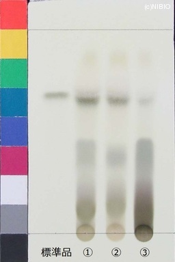 http://mpdb.nibiohn.go.jp/CONTENTS_ROOT/JP_IDENTIFICATION_PHOTO_DATA/JP_IDENTIFICATION_PHOTO_FILE/thumbnail/461.jpg