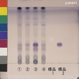 http://mpdb.nibiohn.go.jp/CONTENTS_ROOT/JP_IDENTIFICATION_PHOTO_DATA/JP_IDENTIFICATION_PHOTO_FILE/thumbnail/1193.jpg