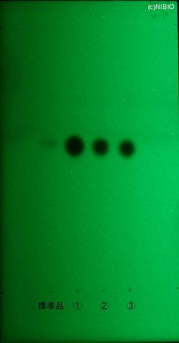 http://mpdb.nibiohn.go.jp/CONTENTS_ROOT/JP_IDENTIFICATION_PHOTO_DATA/JP_IDENTIFICATION_PHOTO_FILE/thumbnail/1212.jpg