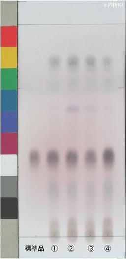 http://mpdb.nibiohn.go.jp/CONTENTS_ROOT/JP_IDENTIFICATION_PHOTO_DATA/JP_IDENTIFICATION_PHOTO_FILE/thumbnail/798.jpg