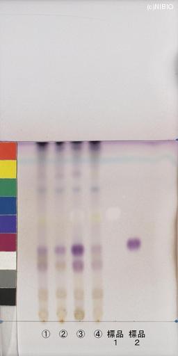 http://mpdb.nibiohn.go.jp/CONTENTS_ROOT/JP_IDENTIFICATION_PHOTO_DATA/JP_IDENTIFICATION_PHOTO_FILE/thumbnail/1196.jpg